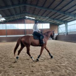 EWZ Reitausbildung Beatrix Held