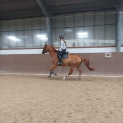 EWZ Reitausbildung Beatrix Held