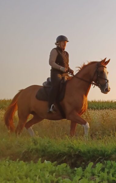 Beatrix Held - EWZ Reitausbildung